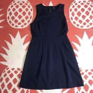 Madewell Fit & Flare Dress
